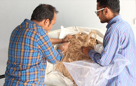 Banana Fibers