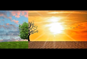 climate change effect