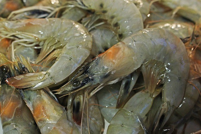 black tiger shrimp