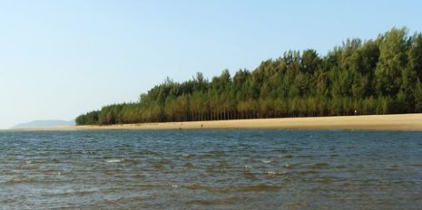 Beach-in-India