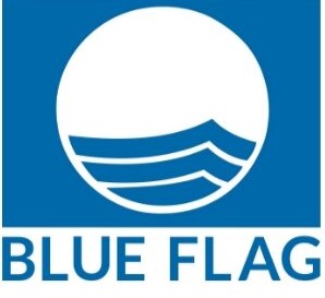 Blue flag Logo