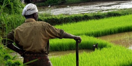 farming-