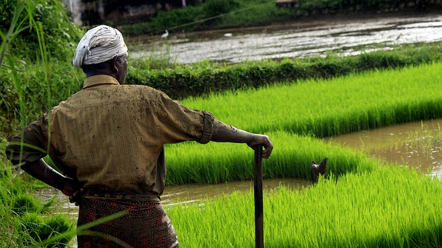 farming-