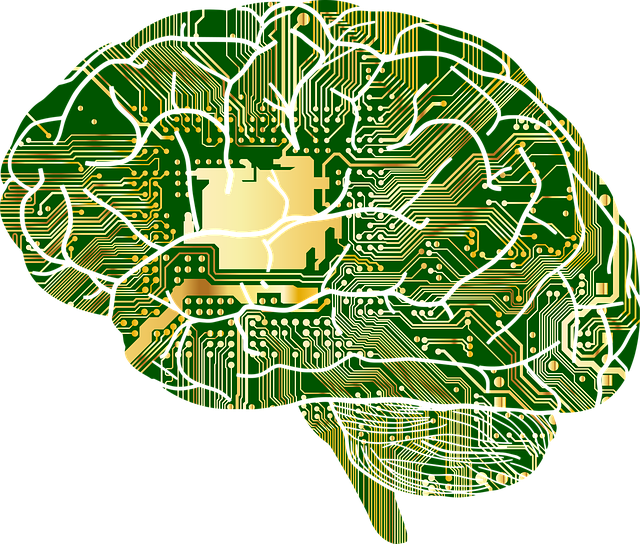 brain-with-code