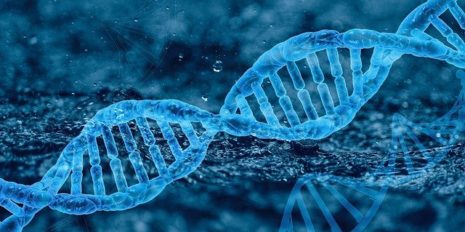 DNA-research-Lab