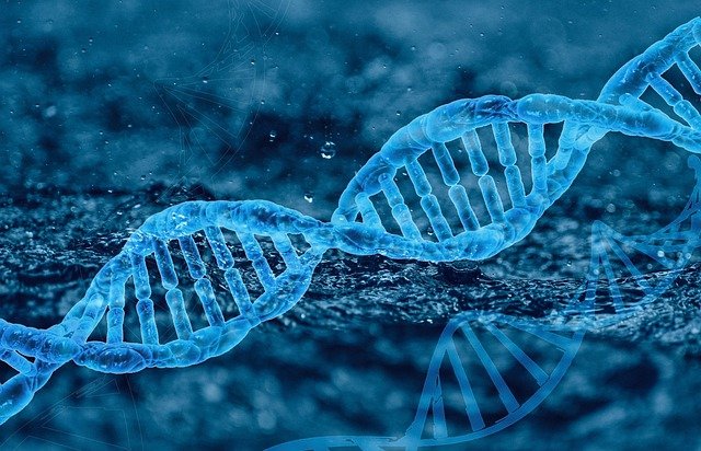 DNA-research-Lab