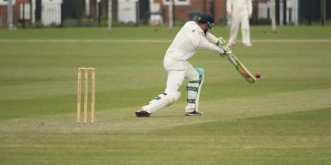 Cricket-