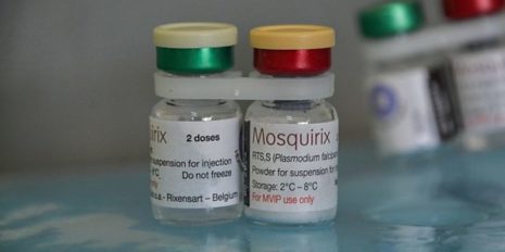 Malaria Vaccines