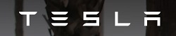 Tesla Logo