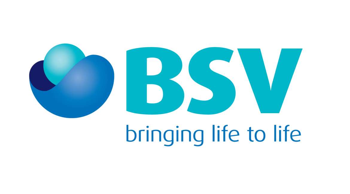 BSV-Logo