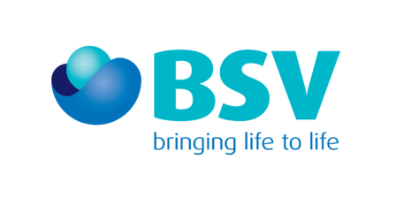 BSV-Logo