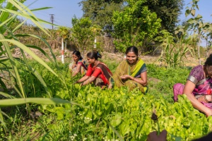 Farmers in india equalstock-9DOz59DbS5s-unsplash(1)