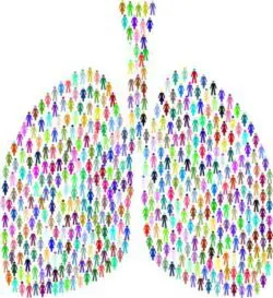 Lungs, Pixabay
