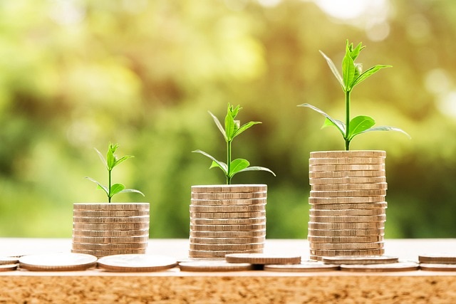 investment – pixabay