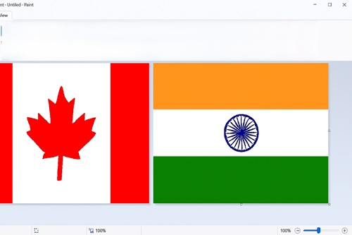 Canada, India Flags from Copilot